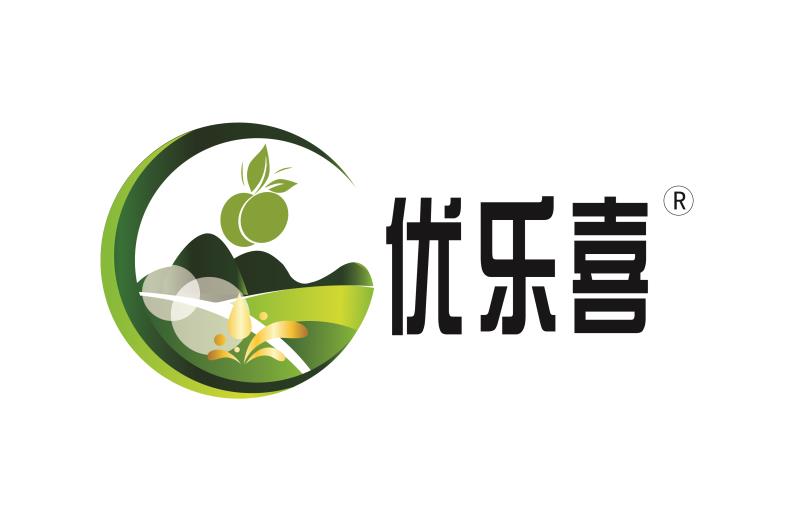 信阳油茶行业协会召开第一次会员代表大会，宣告行业协会正式成立