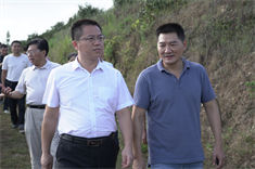 信阳市委常委、副市长李俊一行到金源油茶调研油茶产业发展情况