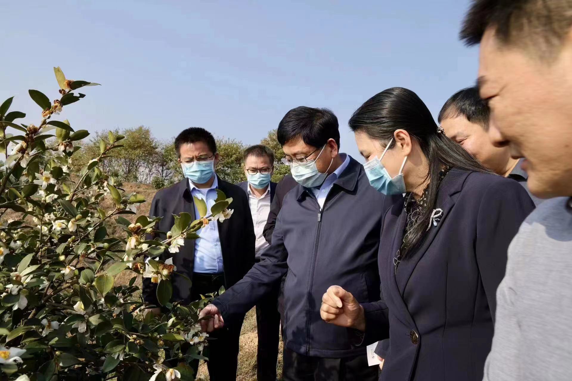 陈志伟在开展巡林工作时指出 以林业高质量发展筑牢绿色生态屏障